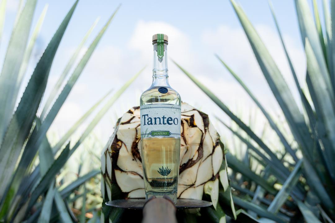 TANTEO JALAPENO TEQUILA