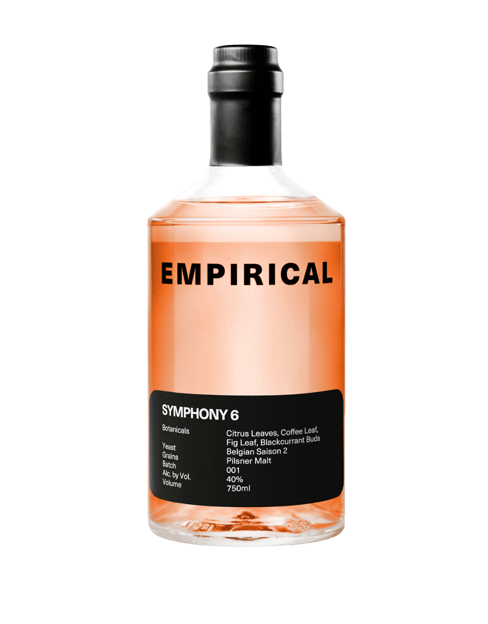 EMPIRICAL SYMPHONY 6