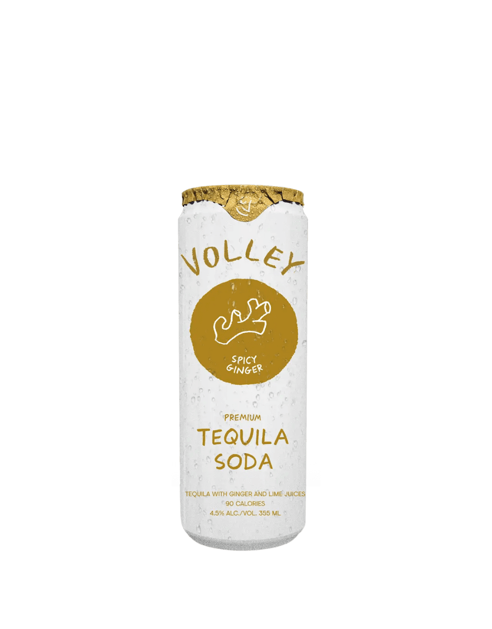 VOLLEY SPICY GINGER TEQUILA SELTZER