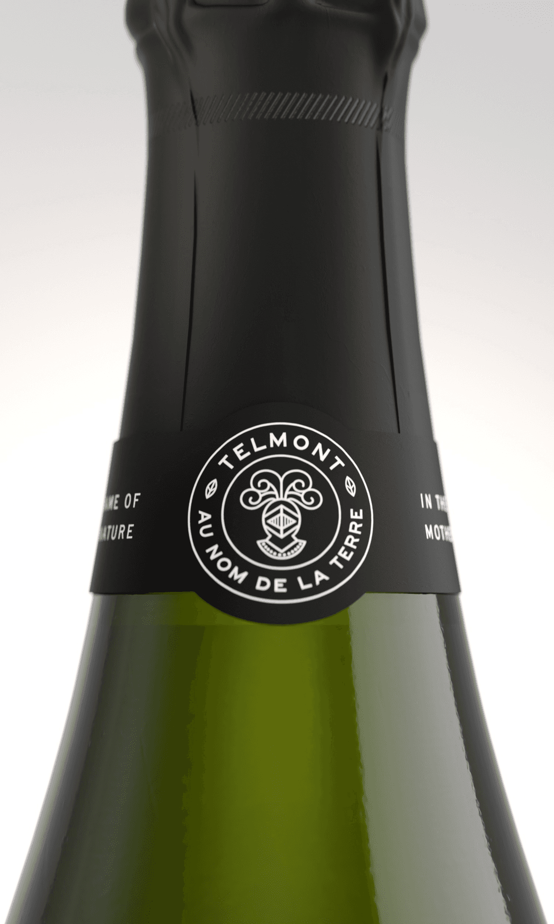 TELMONT CHAMPAGNE RÉSERVE DE LA TERRE