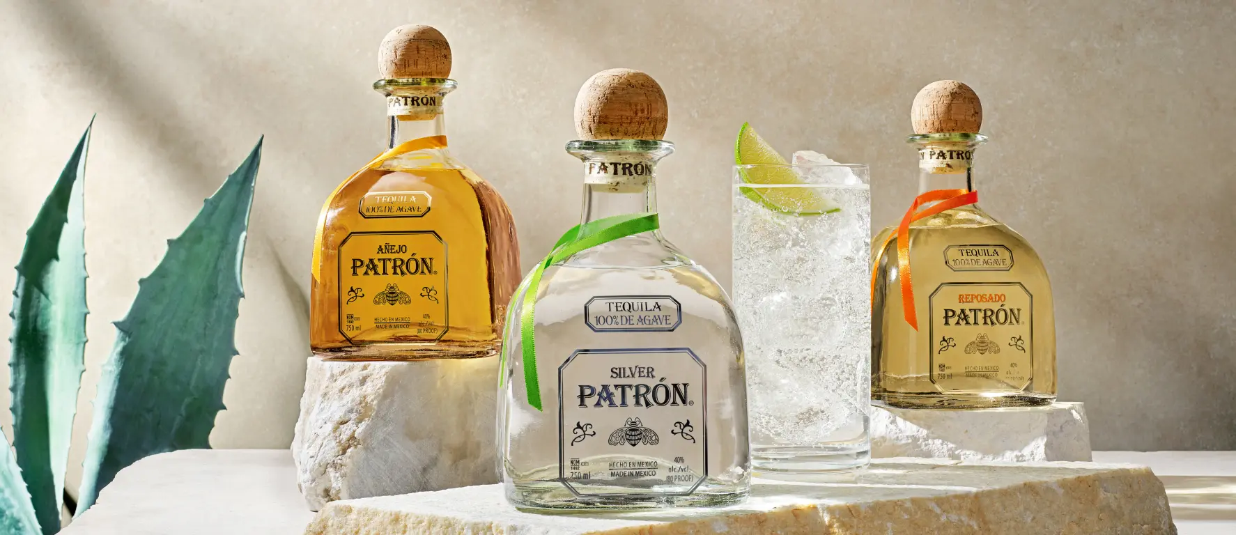 Patrón