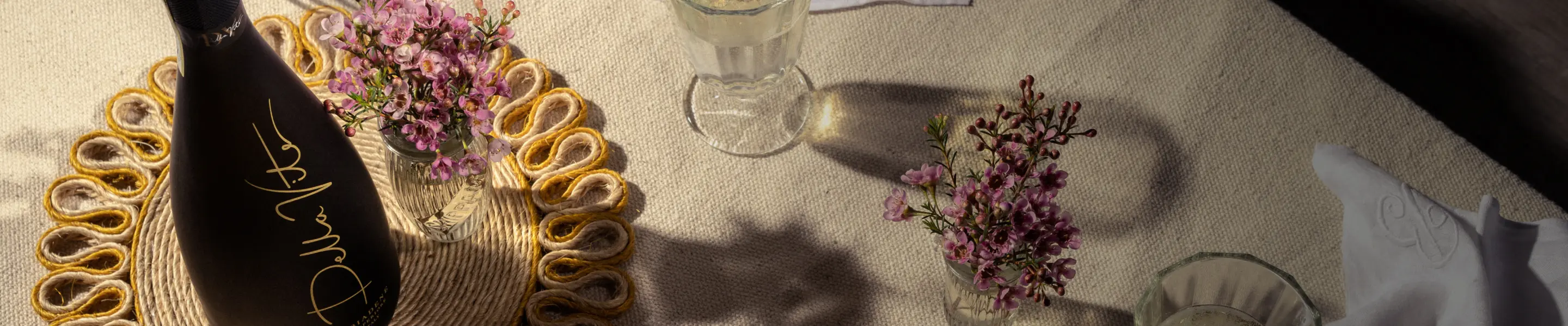 Women-Owned & Led Collection