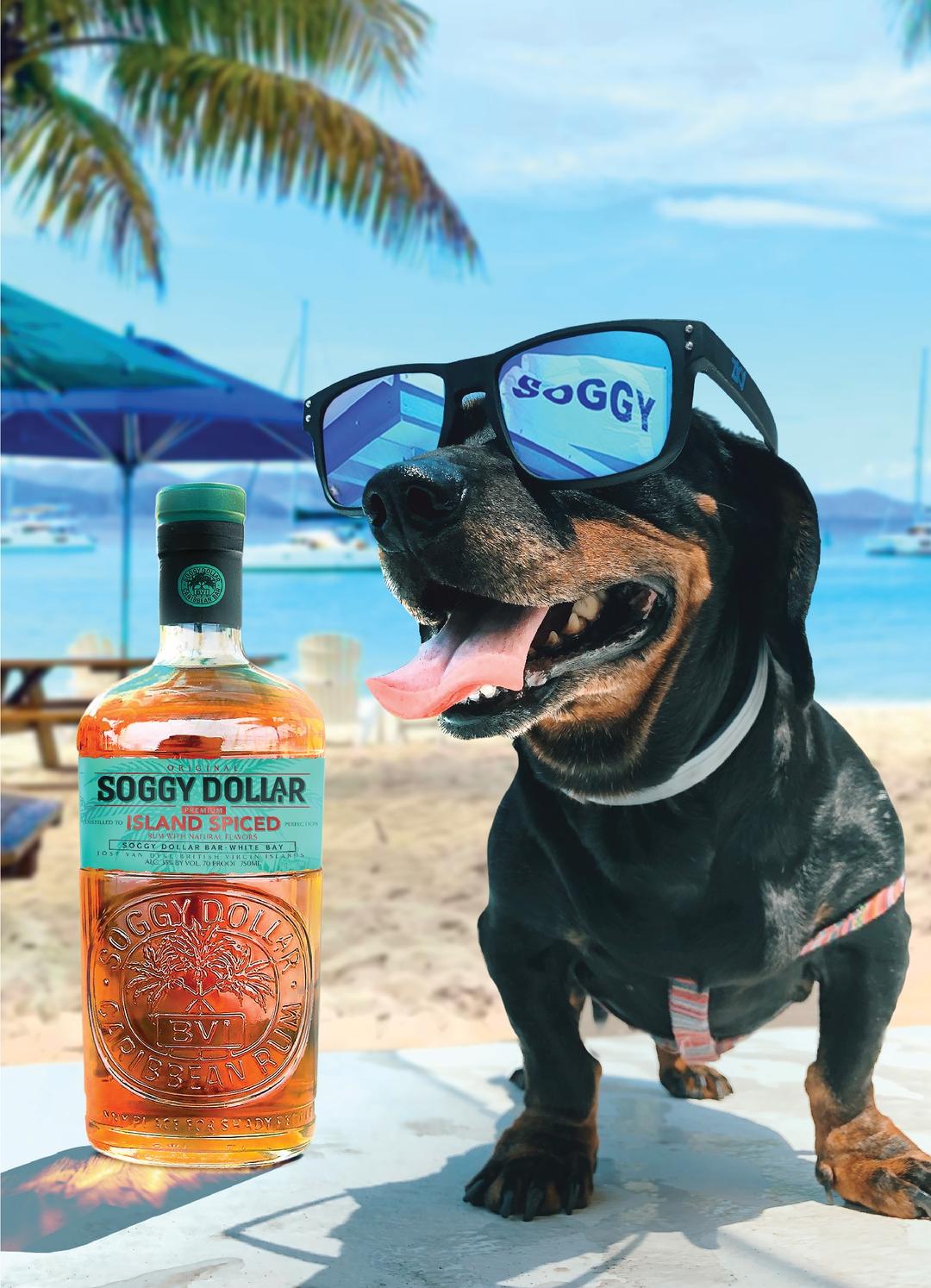 SOGGY DOLLAR ISLAND SPICED PREMIUM RUM