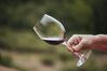 Kenwood Vineyards Sonoma Series Sauvignon Blanc, , product_attribute_image