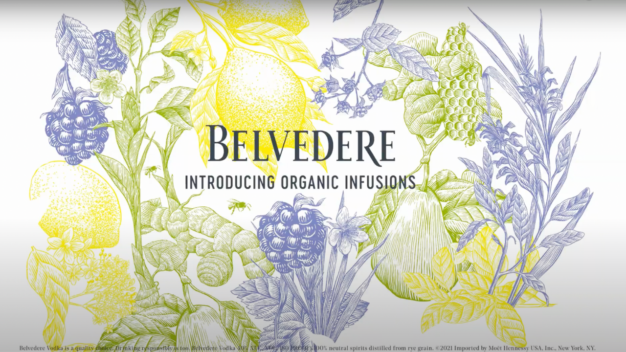 Belvedere Organic Infusions Blackberry & Lemongrass, 70cl : :  Grocery